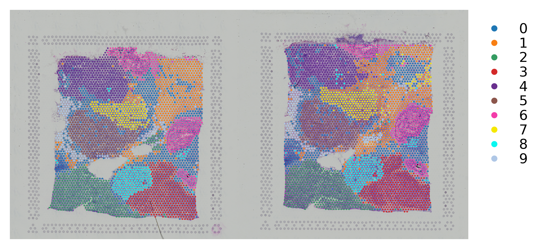 ../_images/tutorials_Integration_multiple_datasets_30_0.png