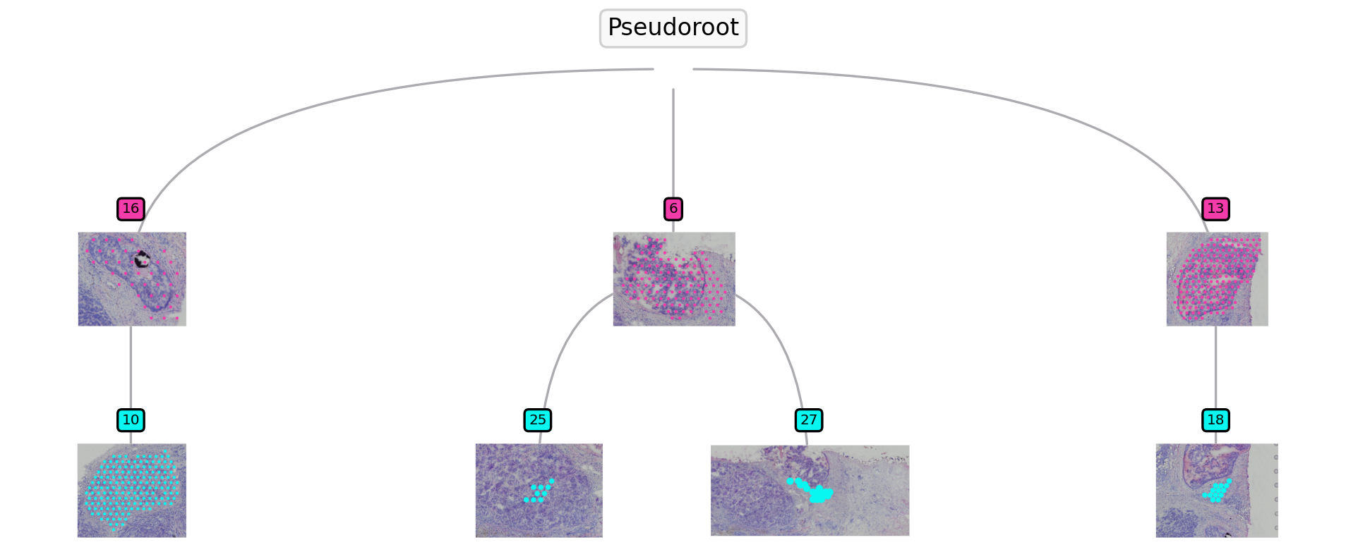 ../_images/tutorials_Pseudo-time-space-tutorial_16_0.png