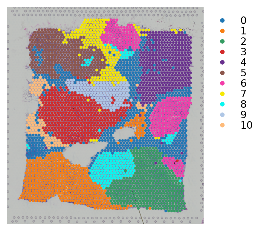 ../_images/tutorials_Pseudo-time-space-tutorial_8_0.png