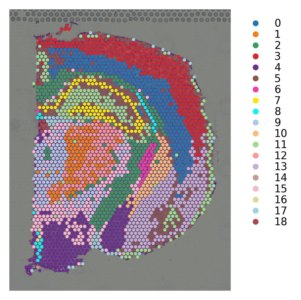 ../_images/tutorials_stSME_clustering_14_1.png