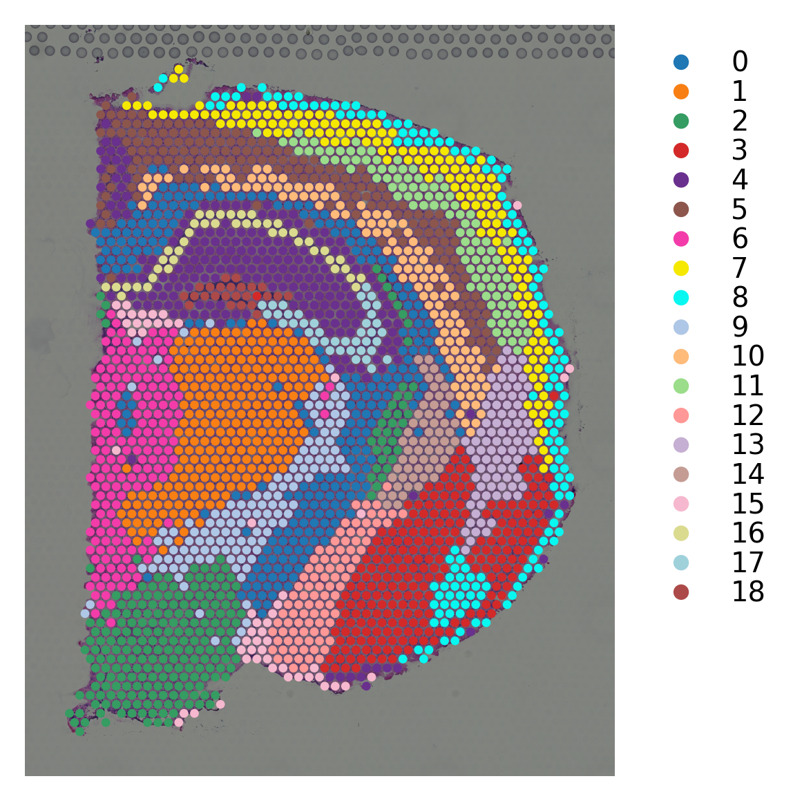../_images/tutorials_stSME_clustering_15_1.png