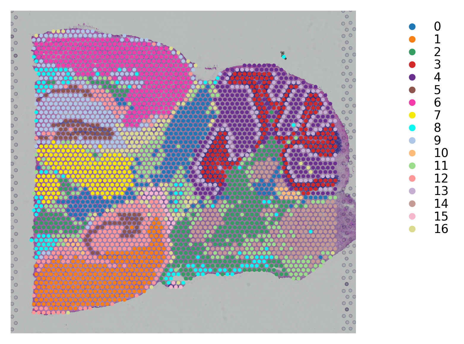 ../_images/tutorials_stSME_clustering_26_1.png