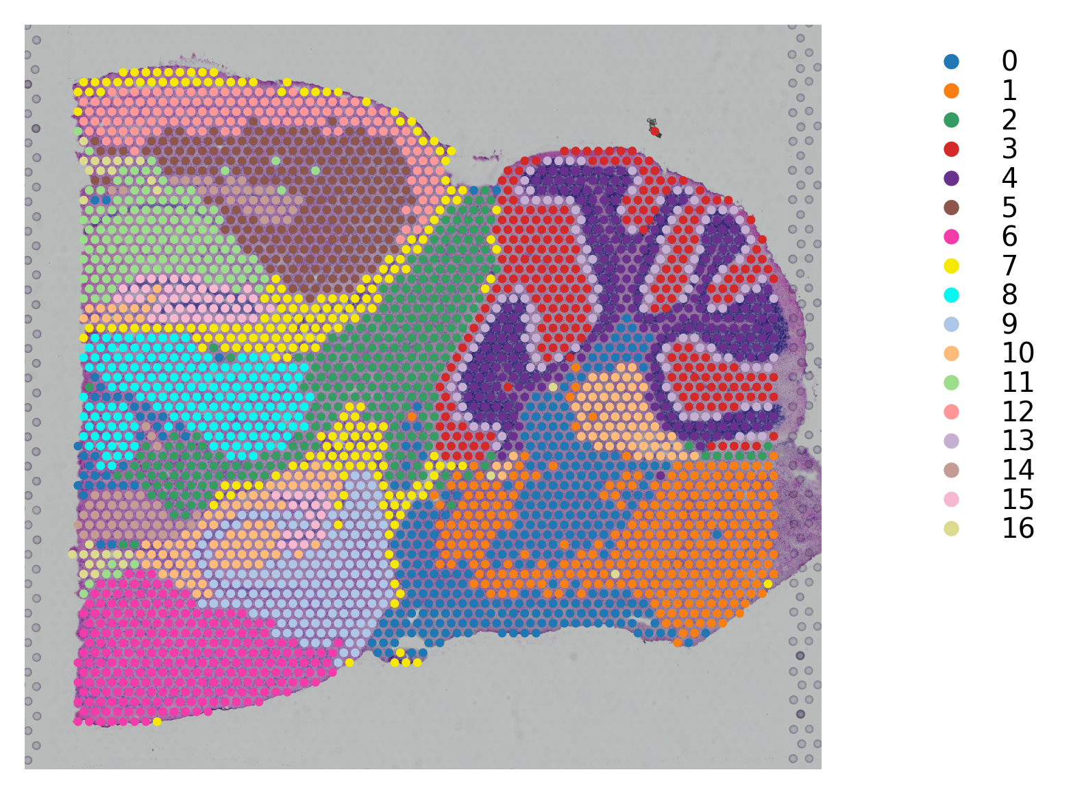 ../_images/tutorials_stSME_clustering_27_1.png