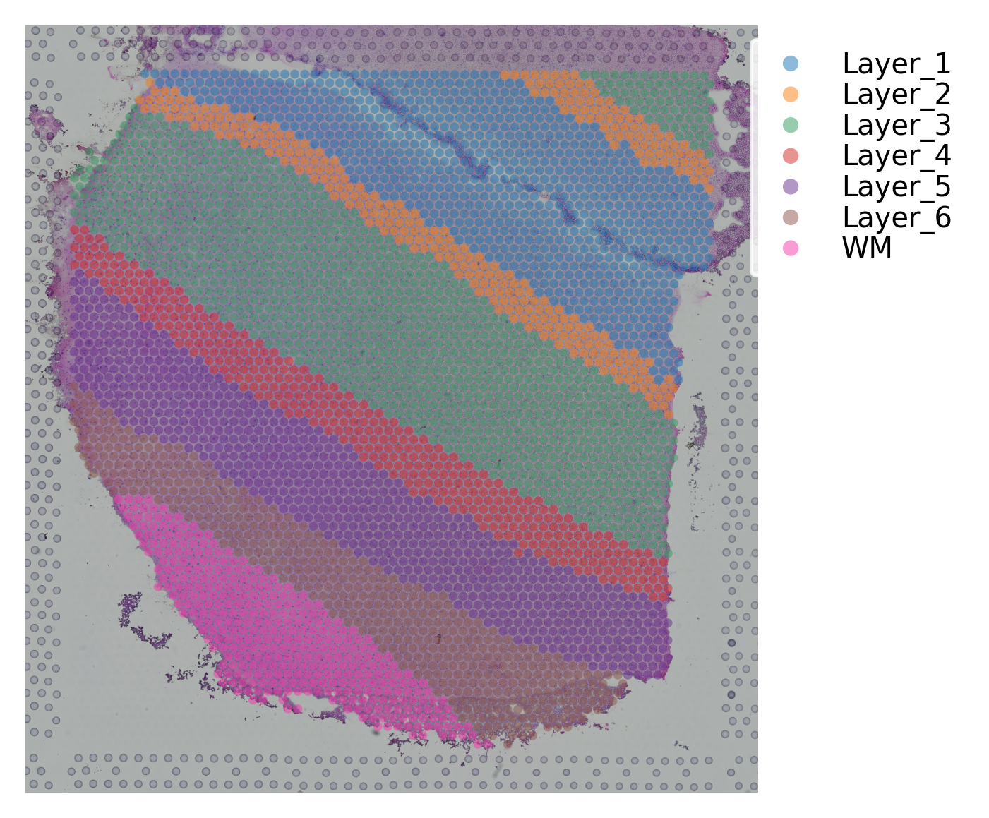 ../_images/tutorials_stSME_clustering_35_1.png