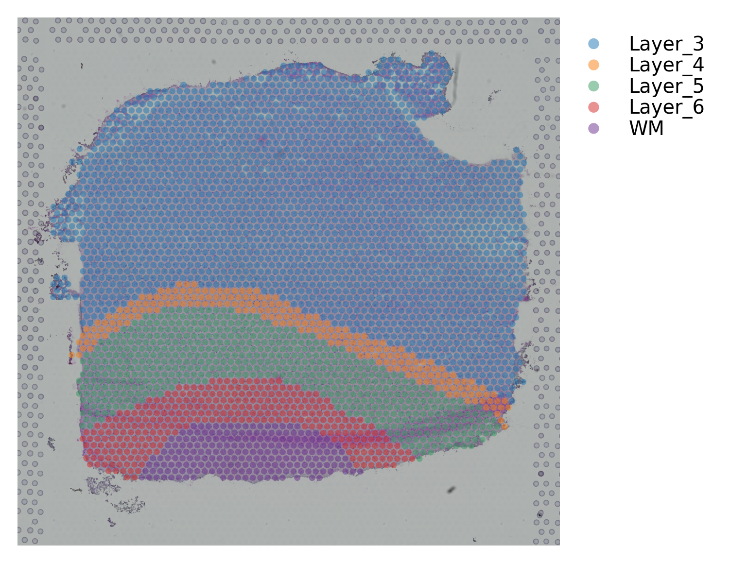 ../_images/tutorials_stSME_clustering_35_11.png