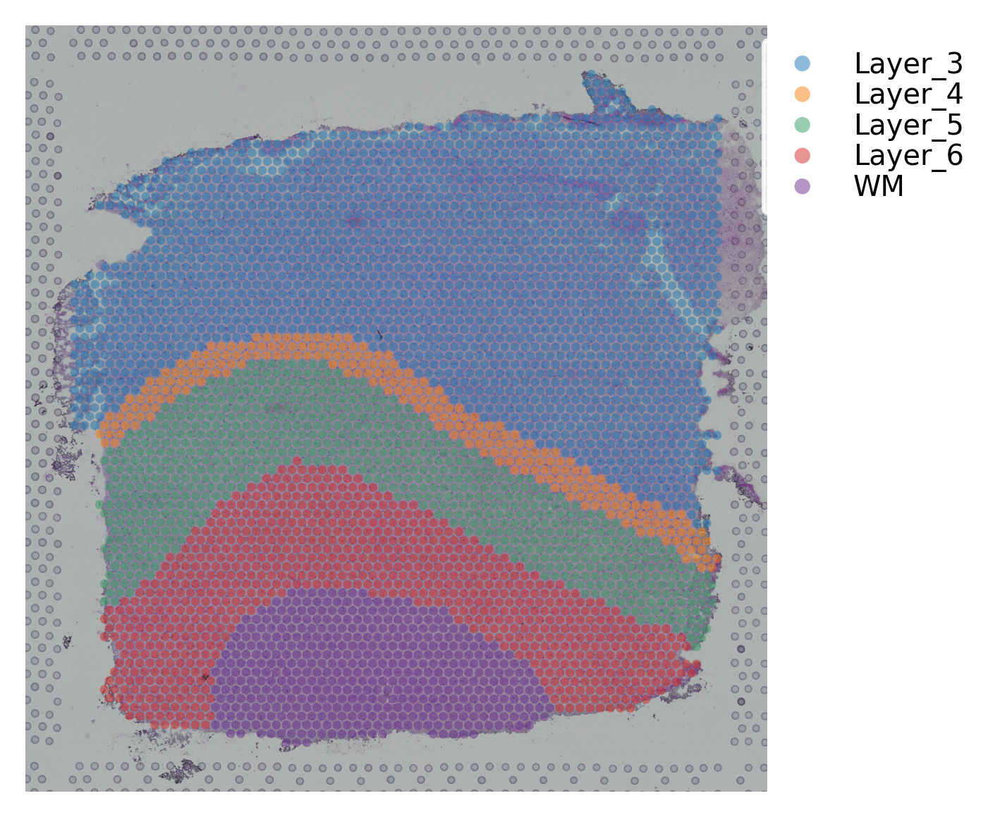../_images/tutorials_stSME_clustering_35_13.png