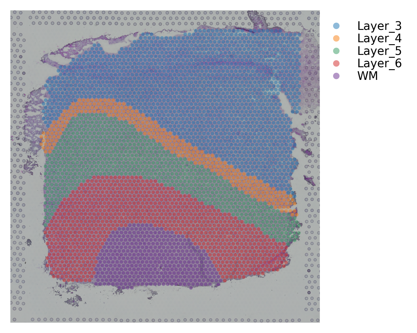 ../_images/tutorials_stSME_clustering_35_15.png