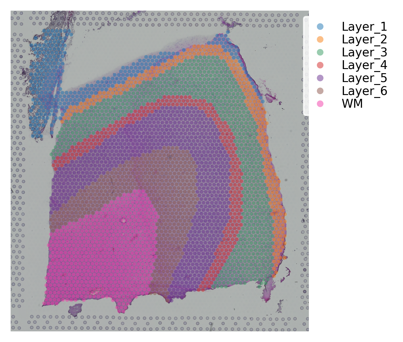 ../_images/tutorials_stSME_clustering_35_21.png