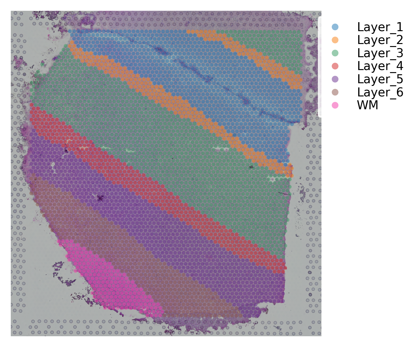 ../_images/tutorials_stSME_clustering_35_3.png