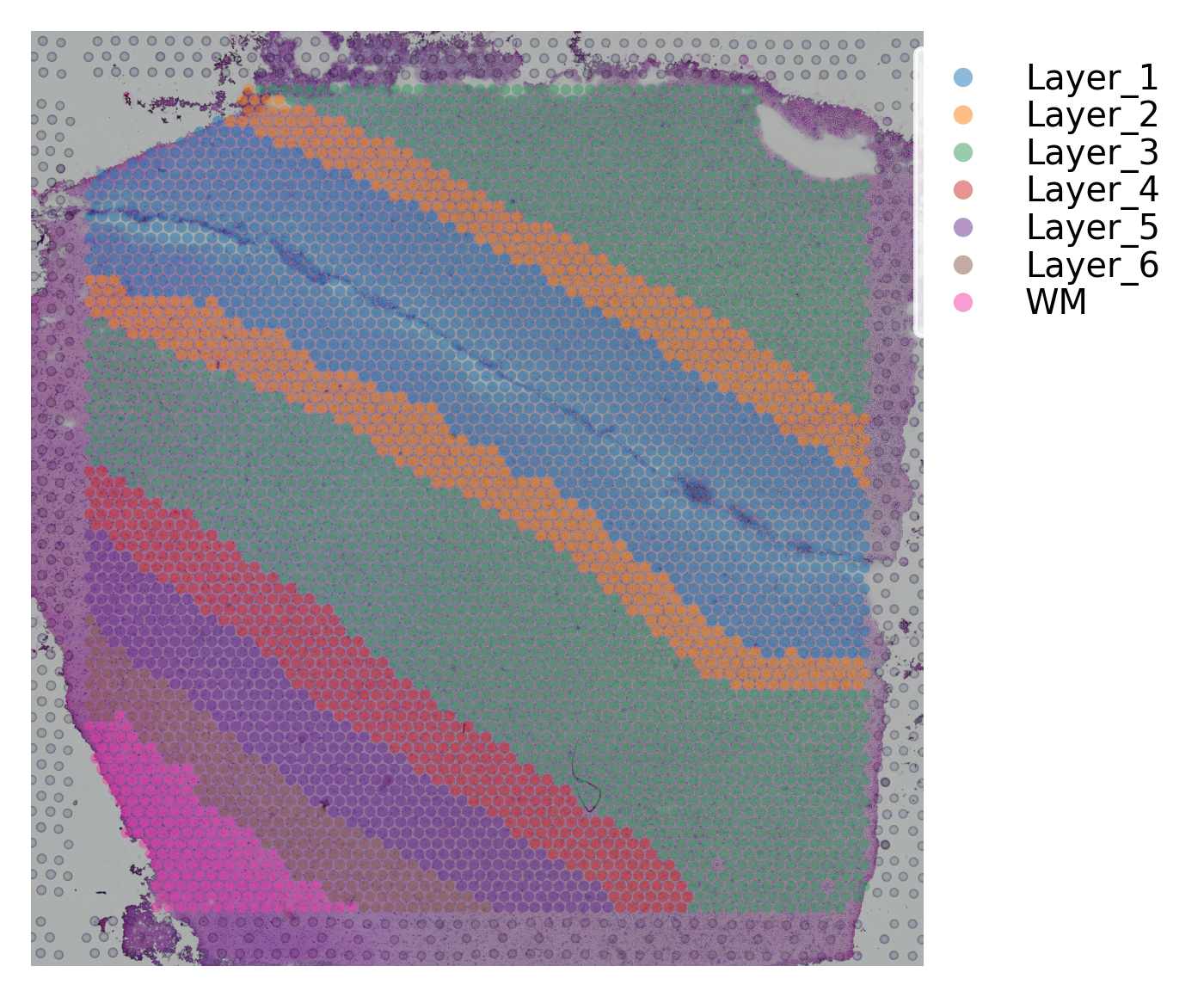 ../_images/tutorials_stSME_clustering_35_5.png