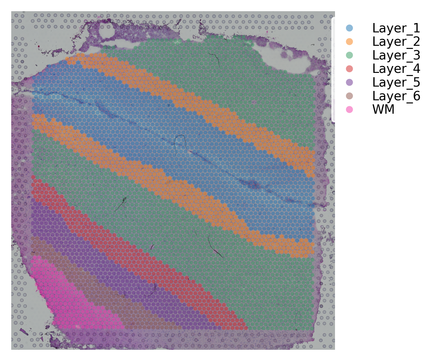 ../_images/tutorials_stSME_clustering_35_7.png