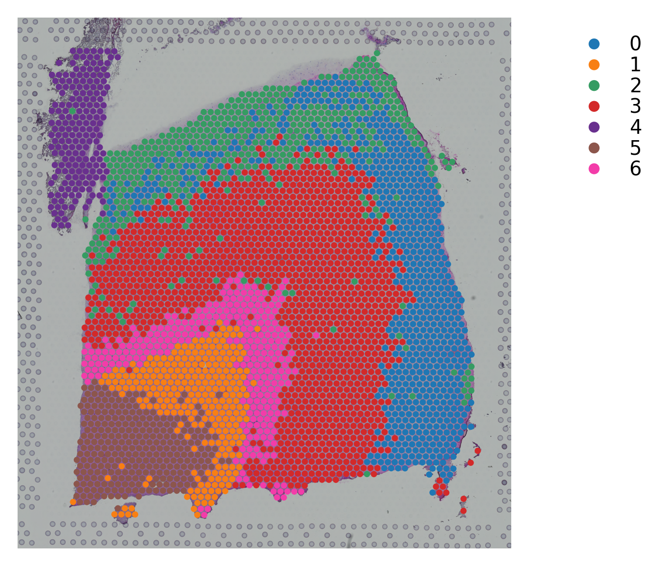 ../_images/tutorials_stSME_clustering_38_110.png