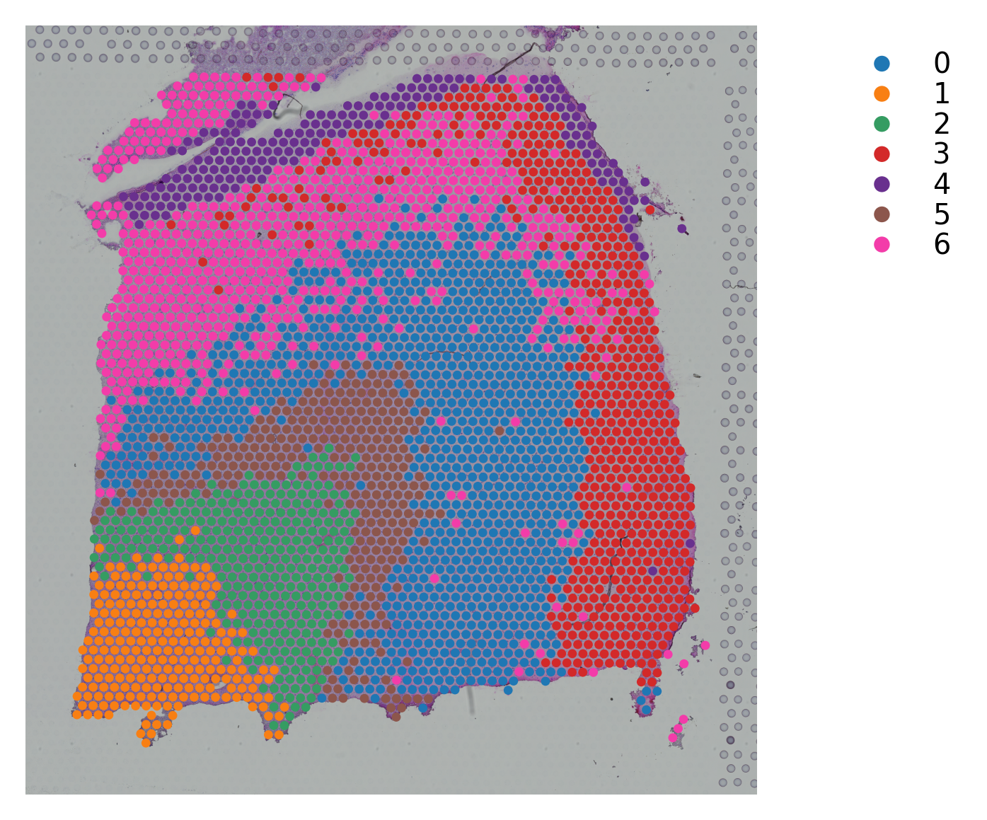 ../_images/tutorials_stSME_clustering_38_121.png