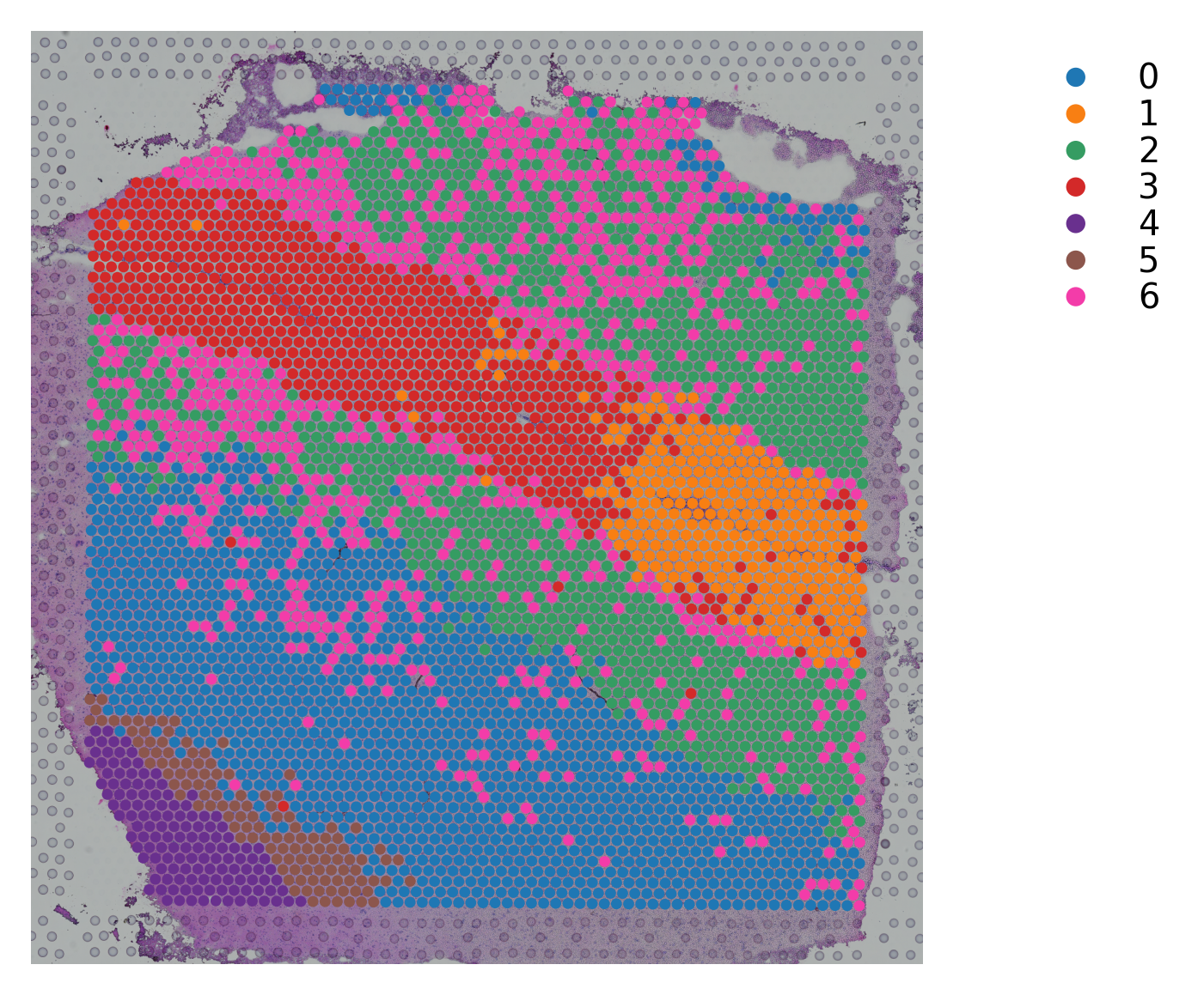 ../_images/tutorials_stSME_clustering_38_33.png