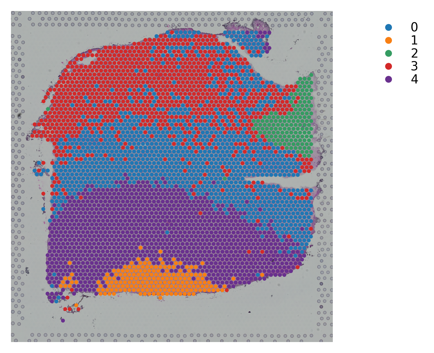 ../_images/tutorials_stSME_clustering_38_44.png