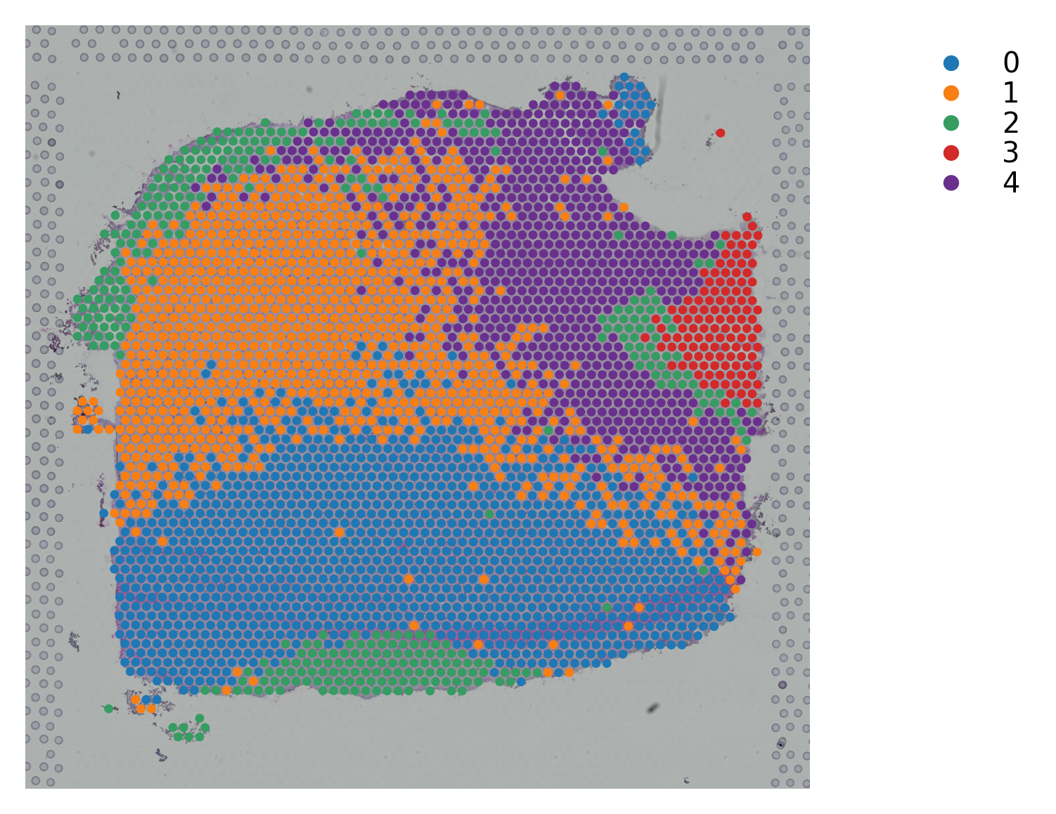 ../_images/tutorials_stSME_clustering_38_55.png