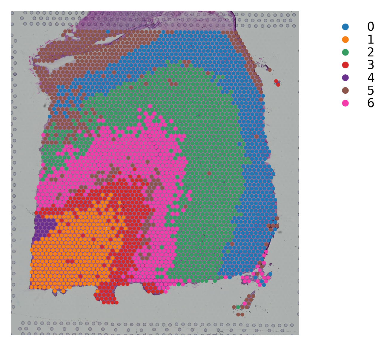 ../_images/tutorials_stSME_clustering_38_88.png