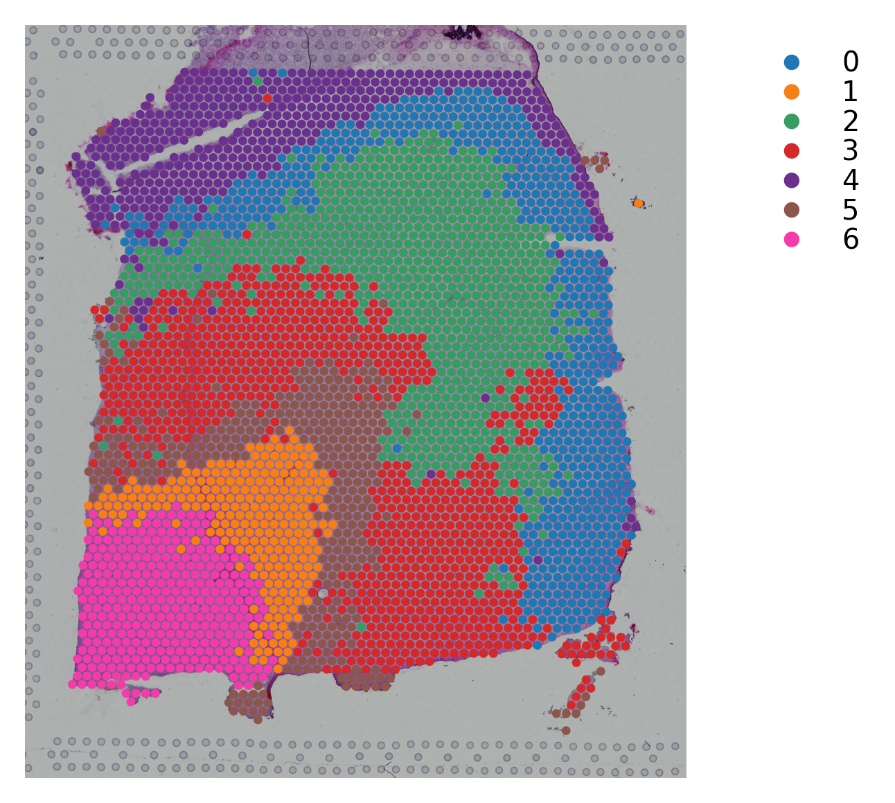 ../_images/tutorials_stSME_clustering_38_99.png